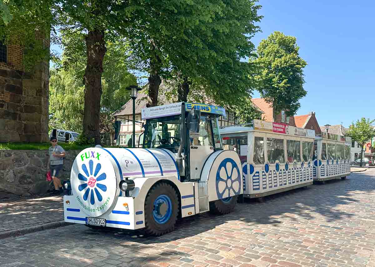 Ein weiß-blauer Touristenzug mit Blumenmotiven steht auf einer Kopfsteinpflasterstraße mit Bäumen und traditionellen Gebäuden in Burg auf Fehmarn mit Kindern