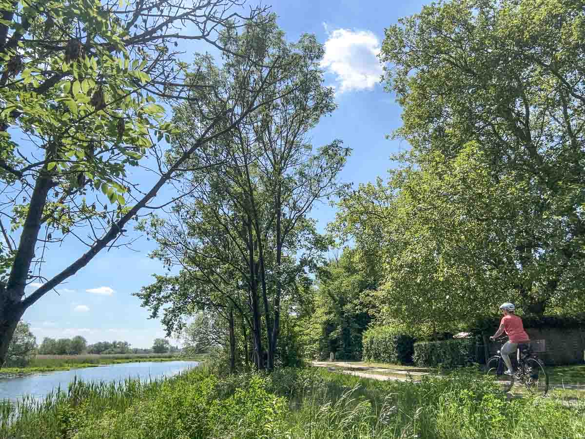 Eine Person mit Helm fährt auf einem Radweg am Flussufer in Havelland Fahrrad, umgeben von hohen grünen Bäumen und Gras unter einem strahlend blauen Himmel mit einigen wenigen Wolken.