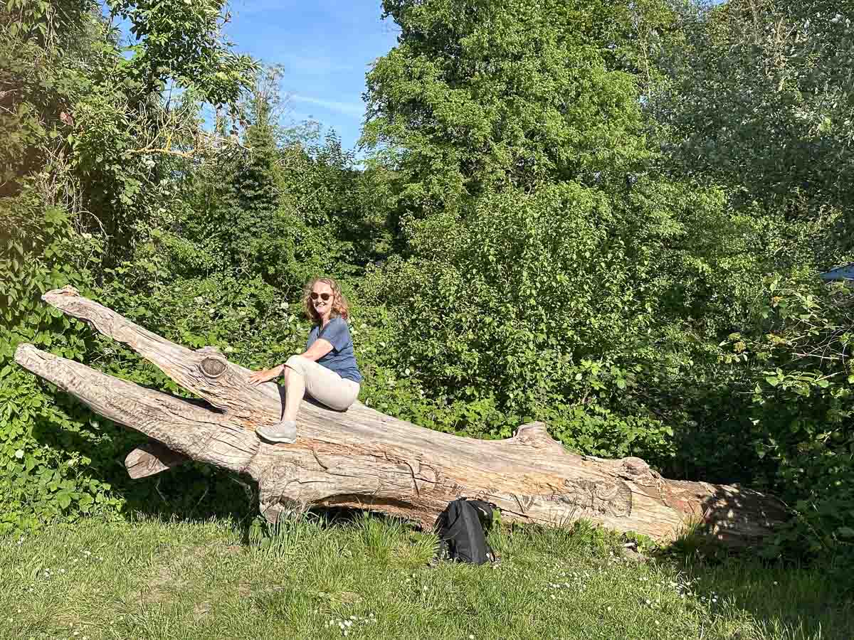 An einem sonnigen Tag sitzt eine Frau mit Sonnenbrille und einem marineblauen Shirt auf einem großen Baumstamm in Krokodil-Form im grasbewachsenen, von Bäumen gesäumten Optikpark Rathenow im Havelland. Ein schwarzer Rucksack liegt daneben auf dem Boden.