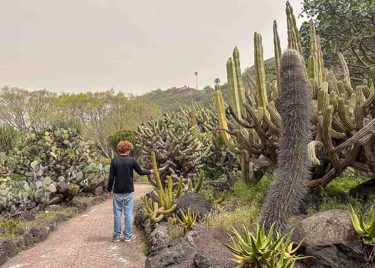 Ein Teenager mit lockigem Haar steht auf einem Weg im botanischen Garten Jardín Botánico Canario Viera y Clavijo voller verschiedener Kakteen und Sukkulenten, umgeben von Grün und Hügeln im Hintergrund unter einem bewölkten Himmel – ein perfekter Ort für alle, die nach Tipps suchen, um versteckte Sehenswürdigkeiten in der Nähe von Las Palmas de Gran Canaria zu entdecken.